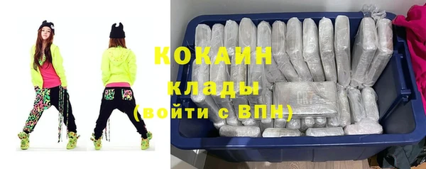 гидра Краснослободск