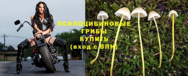 гашик Костерёво