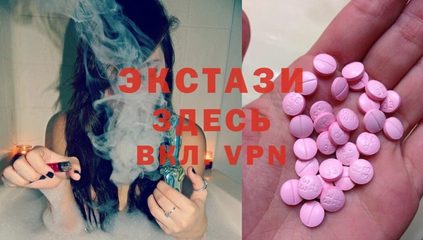 гидра Краснослободск