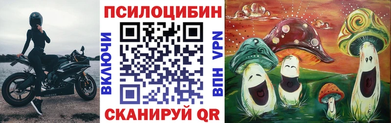 Галлюциногенные грибы Psilocybe  Кремёнки 